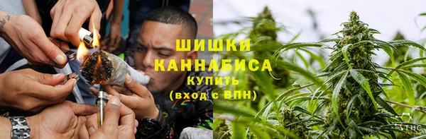 шишки Семёнов