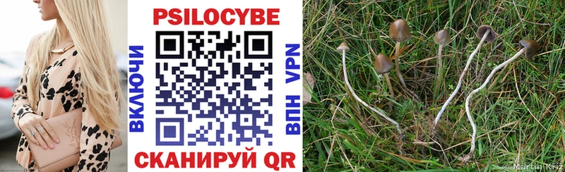 Галлюциногенные грибы прущие грибы  Купить где  Островной 